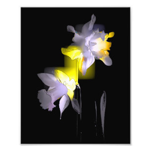 Cubist Daffodils Photo Print