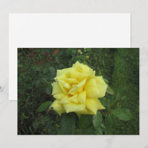 Cubist Rose Holiday Card