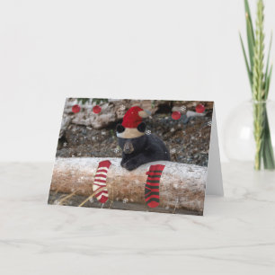 Cubs first Christmas Card