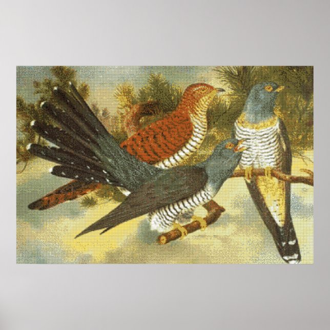 Cuckoo Birds with Modern Art Poster (Front)