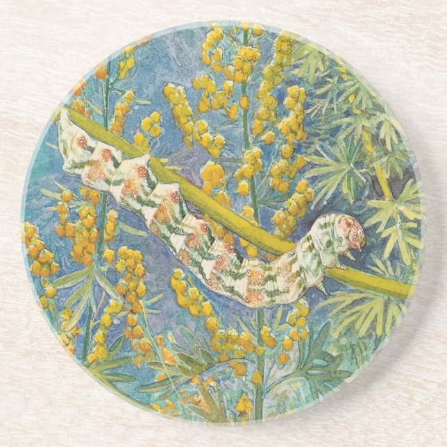 Cucullia Absinthii Wormwood Caterpillar  Coaster (Front)