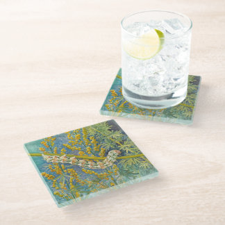 Cucullia Absinthii Wormwood Caterpillar Glass Coaster