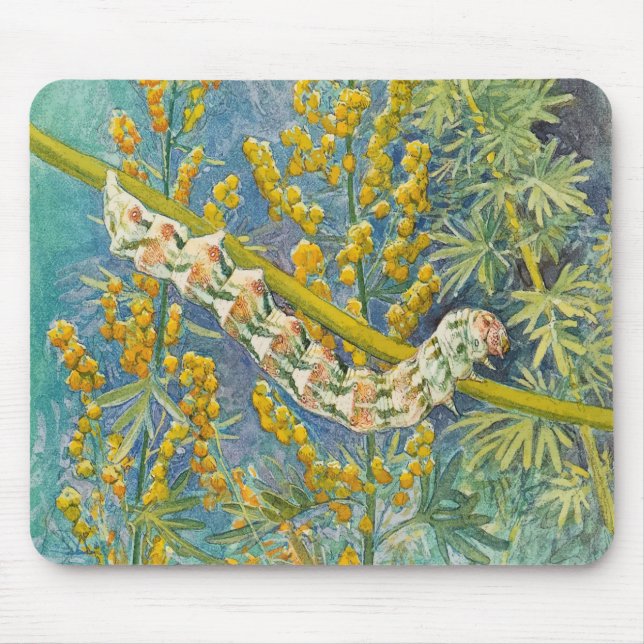 Cucullia Absinthii Wormwood Caterpillar  Mouse Mat (Front)