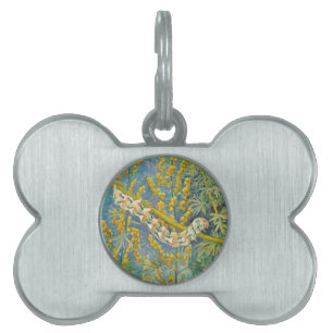 Cucullia Absinthii Wormwood Caterpillar  Pet Tag