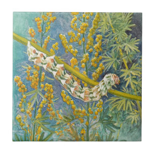 Cucullia Absinthii Wormwood Caterpillar Tile