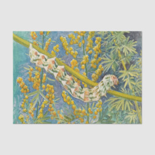 Cucullia Absinthii Wormwood Caterpillar Tissue Paper