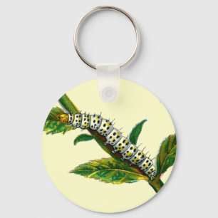 Cucullia verbasci caterpillar key ring