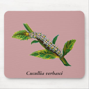 Cucullia verbasci caterpillar mouse mat