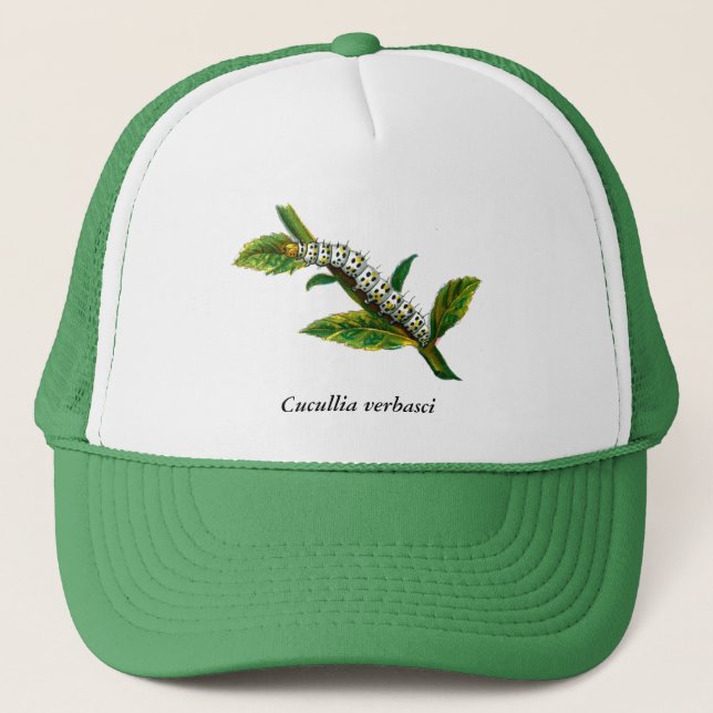 Cucullia verbasci caterpillar trucker hat (Front)