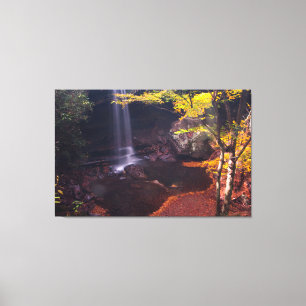 Cucumber Falls, Ohiopyle State Park, Pennsylvania Canvas Print