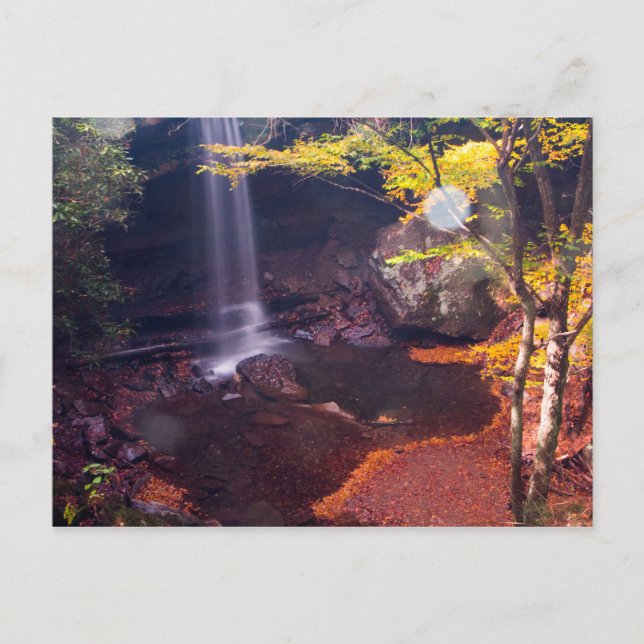 Cucumber Falls, Ohiopyle state park, Pennsylvania Postcard (Front)