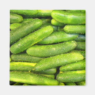 Cucumber Magnet 01