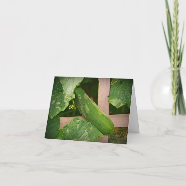 Cucumber Notecard (Front)