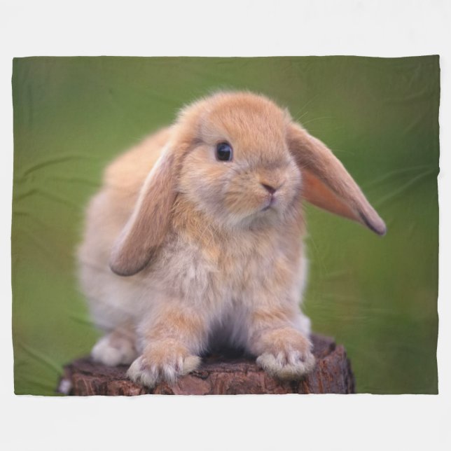CUDDLE BUNNY FLEECE BLANKET (Front (Horizontal))