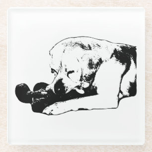 Cuddle the Favourite Glass Coaster