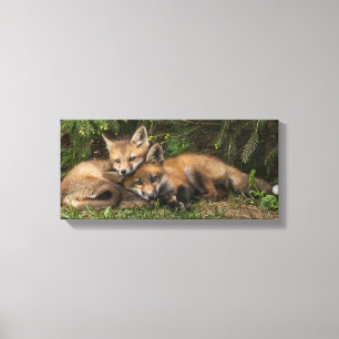 Cuddling Fox Kits Canvas Print