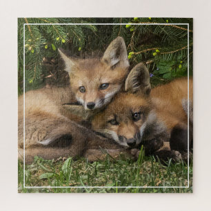 Cuddling Fox Kits Jigsaw Puzzle
