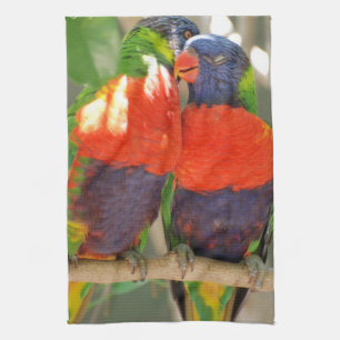 Cuddling Lorikeets Kitchen Towel