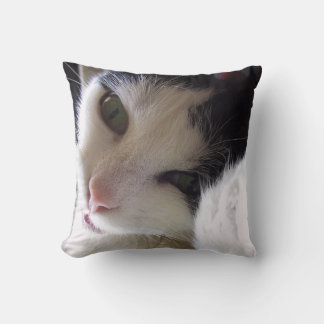 Cuddling Mousy Cushion