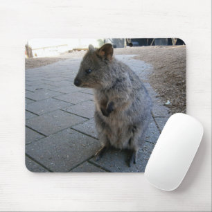 Cuddly Australian Quokka, Mouse Mat