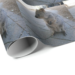 Cuddly Australian Quokka, Wrapping Paper