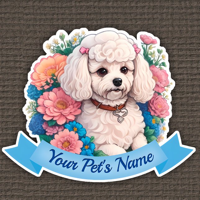 Cuddly Bichon Frisé, pink & blue flowers around (Creator Uploaded)