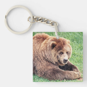 Cuddly Brown Bear Photograph Key Ring
