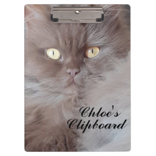 Cuddly Cat  Clipboard