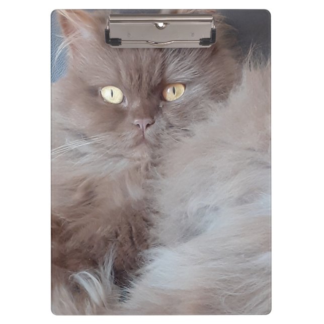 Cuddly Cat  Clipboard (Front)