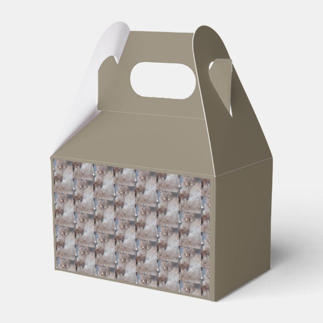 Cuddly Cat Favour Box (Front Side)