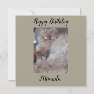 Cuddly Cat Flat Birthday Card