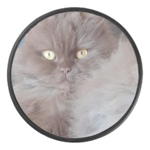 Cuddly Cat Hockey Puck
