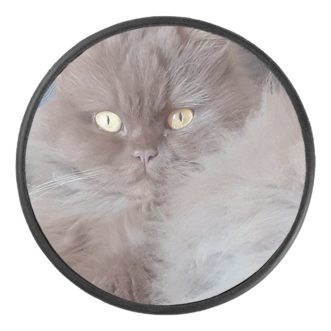 Cuddly Cat  Hockey Puck (Front)