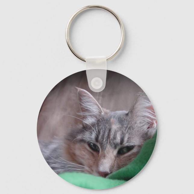 Cuddly Cat Key Ring (Front)