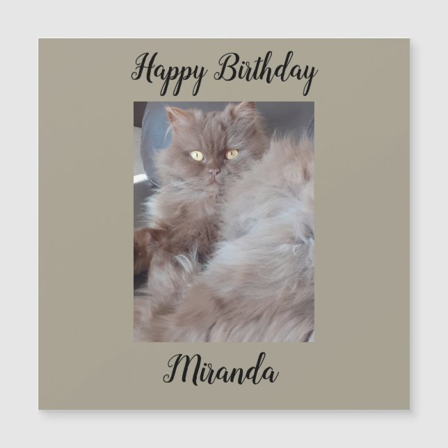 Cuddly Cat Magnetic Birthday Card (Front)