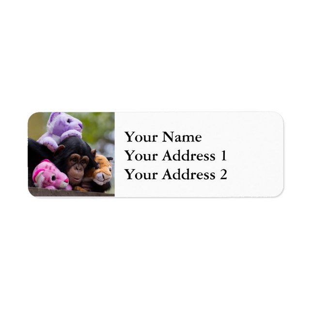 Cuddly Chimp & Animal Friends (Front)
