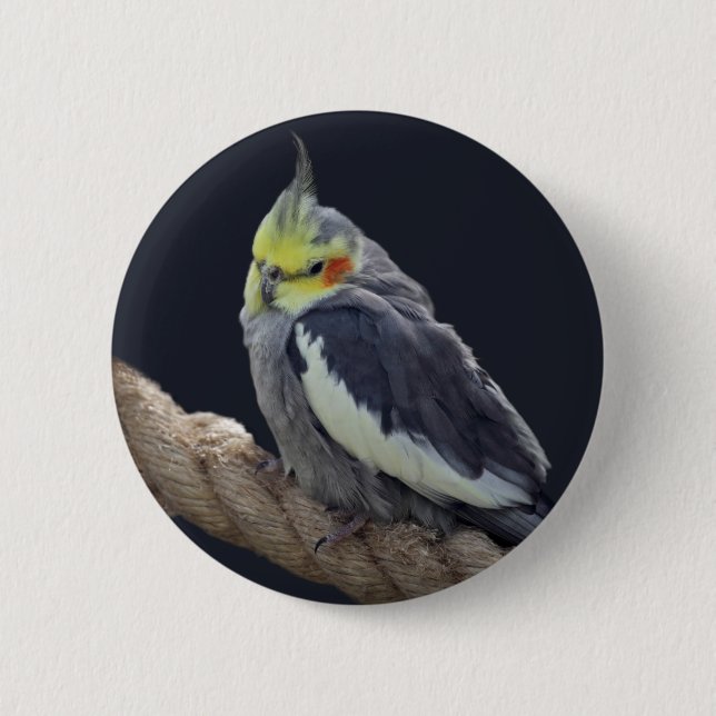 Cuddly Cockatiel Badge (Front)