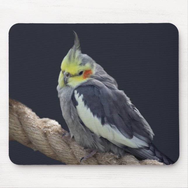 Cuddly Cockatiel Mousemat (Front)
