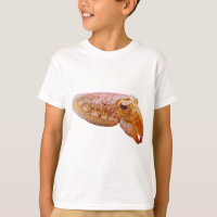 Cuddly Cuttlefish
