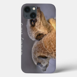 Cuddly Kats iPad Case