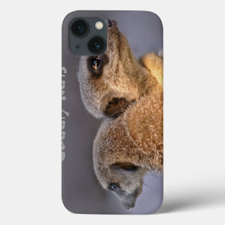 Cuddly Kats iPad Case