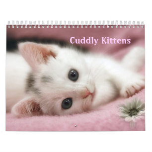 Cuddly Kittens Calendar