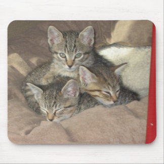 Cuddly Kittens Mouse Mat