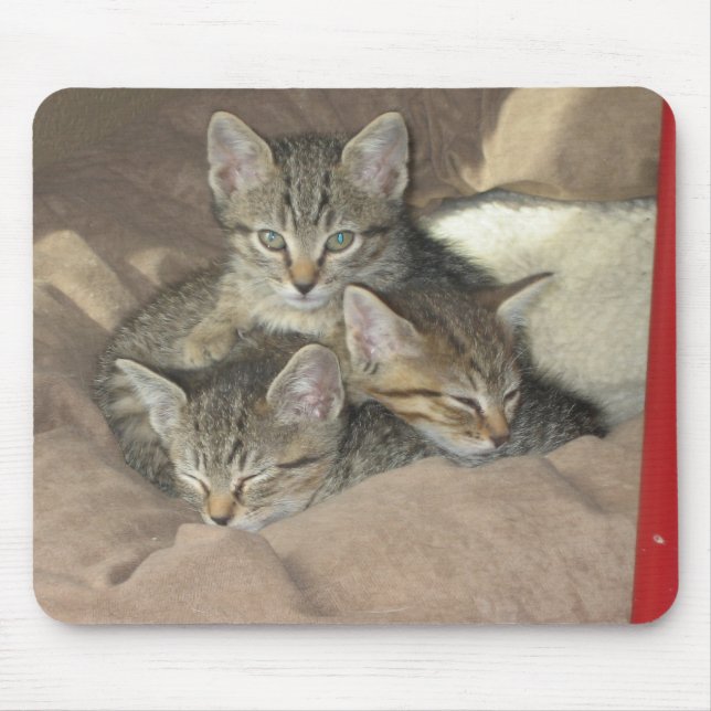 Cuddly Kittens Mouse Mat (Front)