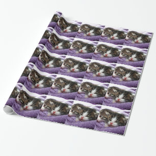 Cuddly Kittens Wrapping Paper