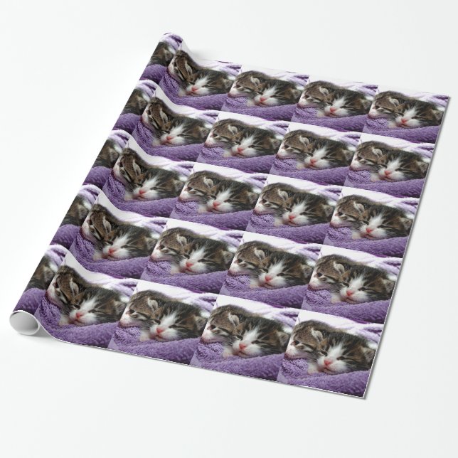 Cuddly Kittens Wrapping Paper (Unrolled)