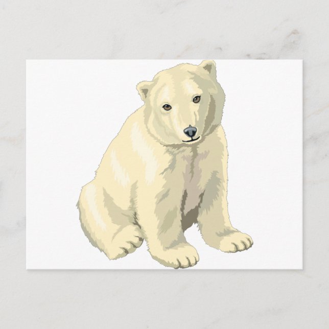Cuddly  Polar Bear Postcard (Front)
