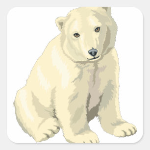 Cuddly  Polar Bear Square Sticker