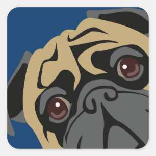 Cuddly Pug Square Sticker