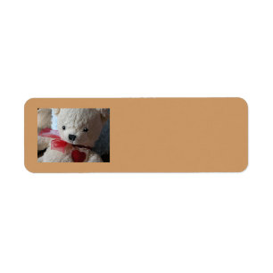 Cuddly Teddy Bear - return address label